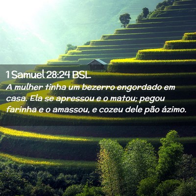 Picture 02 - 1 Samuel 28:24 BSL - A mulher tinha um bezerro engordado em casa. Ela - Bible Verse Picture