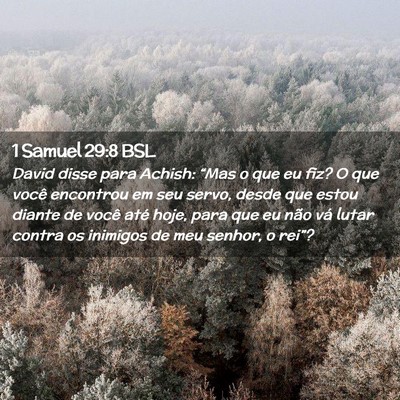 Picture 02 - 1 Samuel 29:8 BSL - David disse para Achish: “Mas o que eu fiz? O - Bible Verse Picture