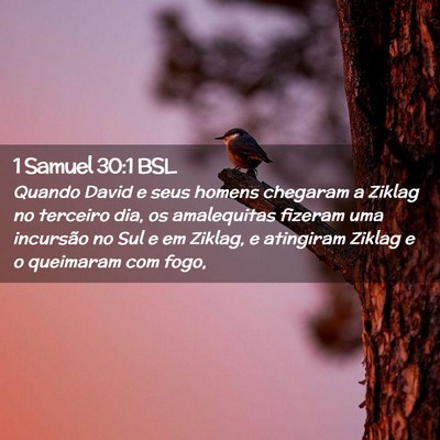 Picture 02 - 1 Samuel 30:1 BSL - Quando David e seus homens chegaram a Ziklag no - Bible Verse Picture