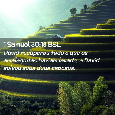 Picture 02 - 1 Samuel 30:18 BSL - David recuperou tudo o que os amalequitas haviam - Bible Verse Picture