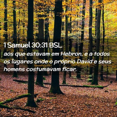 Picture 02 - 1 Samuel 30:31 BSL - aos que estavam em Hebron, e a todos os lugares - Bible Verse Picture