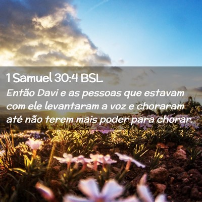 Picture 02 - 1 Samuel 30:4 BSL - Então Davi e as pessoas que estavam com ele - Bible Verse Picture