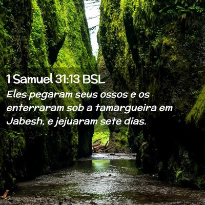 Picture 02 - 1 Samuel 31:13 BSL - Eles pegaram seus ossos e os enterraram sob a - Bible Verse Picture