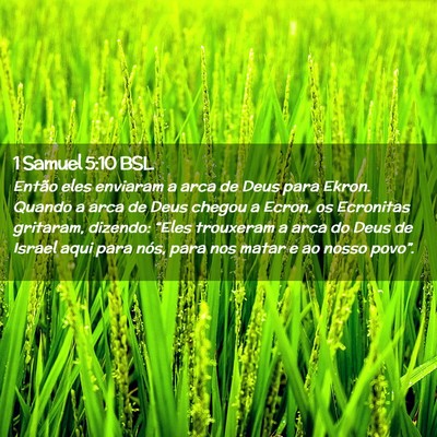 Picture 02 - 1 Samuel 5:10 BSL - Então eles enviaram a arca de Deus para Ekron. - Bible Verse Picture