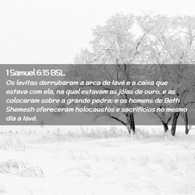 Picture 02 - 1 Samuel 6:15 BSL - Os levitas derrubaram a arca de Iavé e a caixa - Bible Verse Picture