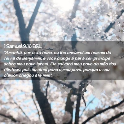 Picture 02 - 1 Samuel 9:16 BSL - “Amanhã, por esta hora, eu lhe enviarei um - Bible Verse Picture