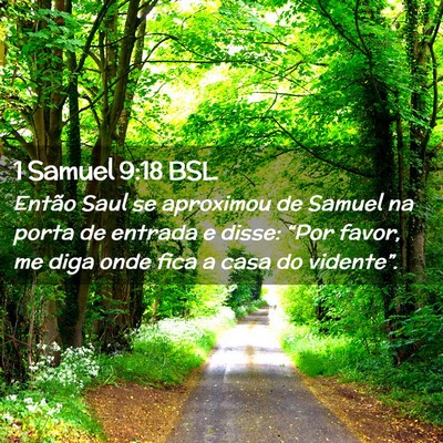 Picture 02 - 1 Samuel 9:18 BSL - Então Saul se aproximou de Samuel na porta de - Bible Verse Picture