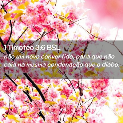 Picture 02 - 1 Timóteo 3:6 BSL - não um novo convertido, para que não caia na - Bible Verse Picture