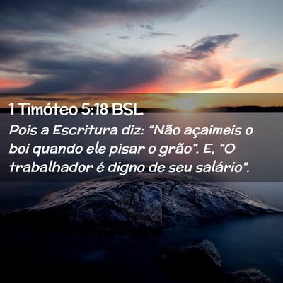 Picture 02 - 1 Timóteo 5:18 BSL - Pois a Escritura diz: “Não açaimeis o boi - Bible Verse Picture