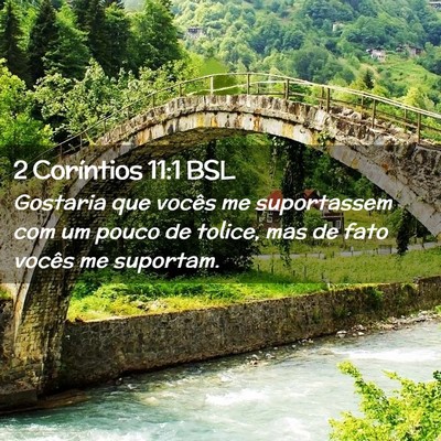 Picture 02 - 2 Coríntios 11:1 BSL - Gostaria que vocês me suportassem com um pouco - Bible Verse Picture