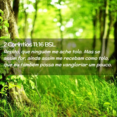 Picture 02 - 2 Coríntios 11:16 BSL - Repito, que ninguém me ache tolo. Mas se assim - Bible Verse Picture