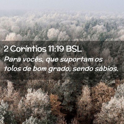 Picture 02 - 2 Coríntios 11:19 BSL - Para vocês, que suportam os tolos de bom grado, - Bible Verse Picture