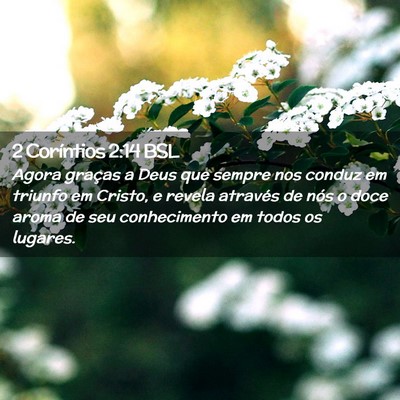 Picture 02 - 2 Coríntios 2:14 BSL - Agora graças a Deus que sempre nos conduz em - Bible Verse Picture