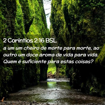 Picture 02 - 2 Coríntios 2:16 BSL - a um um cheiro de morte para morte, ao outro um - Bible Verse Picture