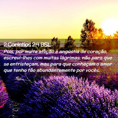 Picture 02 - 2 Coríntios 2:4 BSL - Pois, por muita aflição e angústia de - Bible Verse Picture