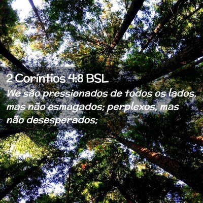 Picture 02 - 2 Coríntios 4:8 BSL - We são pressionados de todos os lados, mas não - Bible Verse Picture