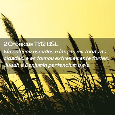 Picture 02 - 2 Crônicas 11:12 BSL - Ele colocou escudos e lanças em todas as - Bible Verse Picture