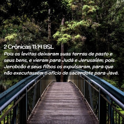 Picture 02 - 2 Crônicas 11:14 BSL - Pois os levitas deixaram suas terras de pasto e - Bible Verse Picture
