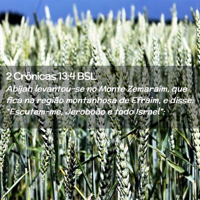 Picture 02 - 2 Crônicas 13:4 BSL - Abijah levantou-se no Monte Zemaraim, que fica na - Bible Verse Picture