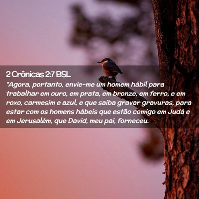 Picture 02 - 2 Crônicas 2:7 BSL - “Agora, portanto, envie-me um homem hábil para - Bible Verse Picture