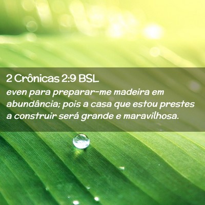 Picture 02 - 2 Crônicas 2:9 BSL - even para preparar-me madeira em abundância; - Bible Verse Picture