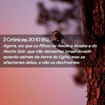 Picture 02 - 2 Crônicas 20:10 BSL - Agora, eis que os filhos de Amom e Moabe e do - Bible Verse Picture