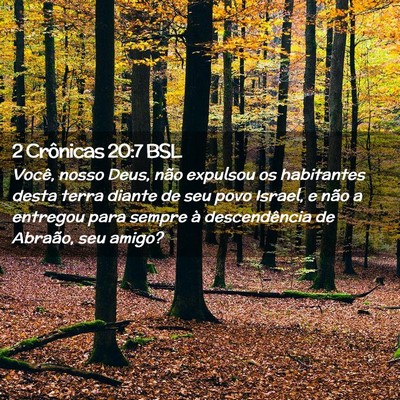 Picture 02 - 2 Crônicas 20:7 BSL - Você, nosso Deus, não expulsou os habitantes - Bible Verse Picture