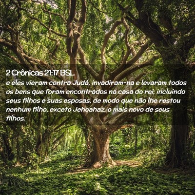 Picture 02 - 2 Crônicas 21:17 BSL - e eles vieram contra Judá, invadiram-na e - Bible Verse Picture
