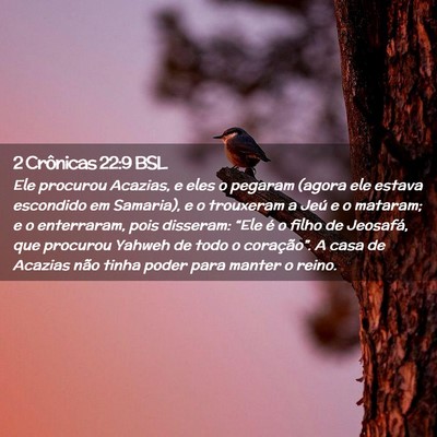 Picture 02 - 2 Crônicas 22:9 BSL - Ele procurou Acazias, e eles o pegaram (agora ele - Bible Verse Picture