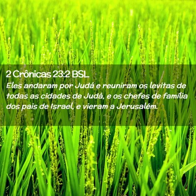 Picture 02 - 2 Crônicas 23:2 BSL - Eles andaram por Judá e reuniram os levitas de - Bible Verse Picture