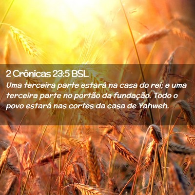 Picture 02 - 2 Crônicas 23:5 BSL - Uma terceira parte estará na casa do rei; e uma - Bible Verse Picture