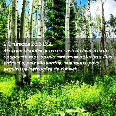 Picture 02 - 2 Crônicas 23:6 BSL - Mas que ninguém entre na casa de Iavé, exceto - Bible Verse Picture