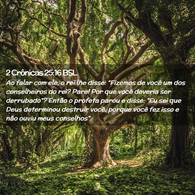 Picture 02 - 2 Crônicas 25:16 BSL - Ao falar com ele, o rei lhe disse: “Fizemos de - Bible Verse Picture