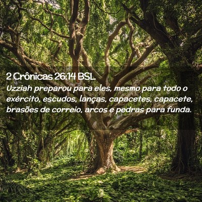 Picture 02 - 2 Crônicas 26:14 BSL - Uzziah preparou para eles, mesmo para todo o - Bible Verse Picture