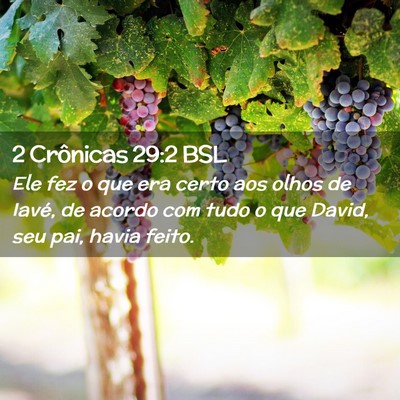 Picture 02 - 2 Crônicas 29:2 BSL - Ele fez o que era certo aos olhos de Iavé, de - Bible Verse Picture