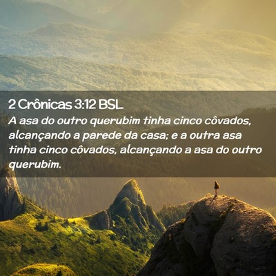 Picture 02 - 2 Crônicas 3:12 BSL - A asa do outro querubim tinha cinco côvados, - Bible Verse Picture