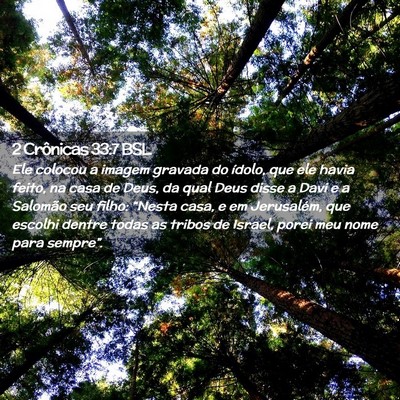 Picture 02 - 2 Crônicas 33:7 BSL - Ele colocou a imagem gravada do ídolo, que ele - Bible Verse Picture