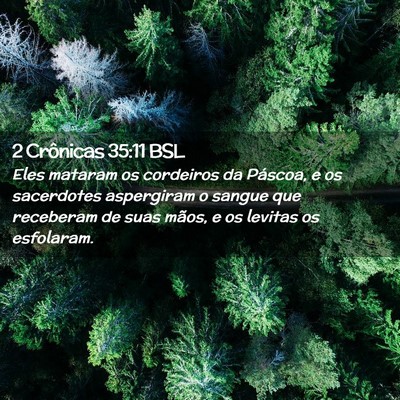 Picture 02 - 2 Crônicas 35:11 BSL - Eles mataram os cordeiros da Páscoa, e os - Bible Verse Picture
