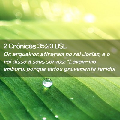 Picture 02 - 2 Crônicas 35:23 BSL - Os arqueiros atiraram no rei Josias; e o rei - Bible Verse Picture