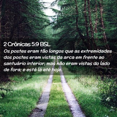 Picture 02 - 2 Crônicas 5:9 BSL - Os postes eram tão longos que as extremidades - Bible Verse Picture