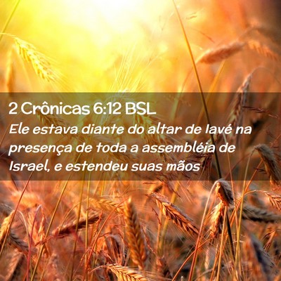 Picture 02 - 2 Crônicas 6:12 BSL - Ele estava diante do altar de Iavé na presença - Bible Verse Picture
