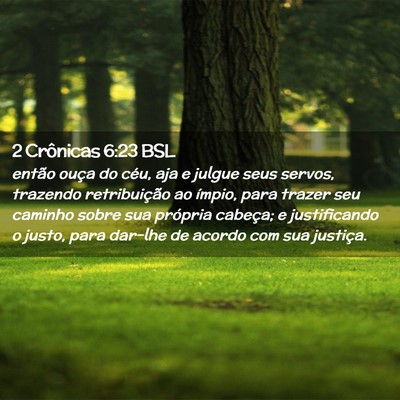 Picture 02 - 2 Crônicas 6:23 BSL - então ouça do céu, aja e julgue seus servos, - Bible Verse Picture