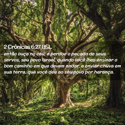 Picture 02 - 2 Crônicas 6:27 BSL - então ouça no céu, e perdoe o pecado de seus - Bible Verse Picture