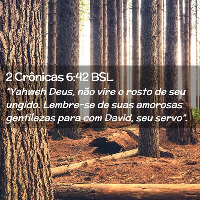 Picture 02 - 2 Crônicas 6:42 BSL - “Yahweh Deus, não vire o rosto de seu ungido. - Bible Verse Picture