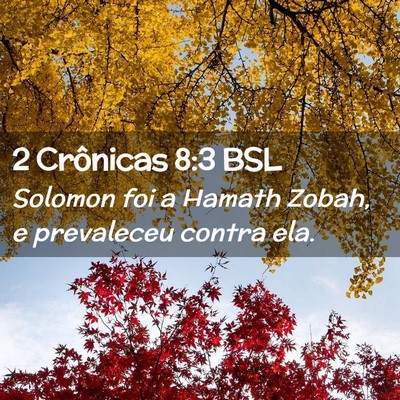 Picture 02 - 2 Crônicas 8:3 BSL - Solomon foi a Hamath Zobah, e prevaleceu contra - Bible Verse Picture