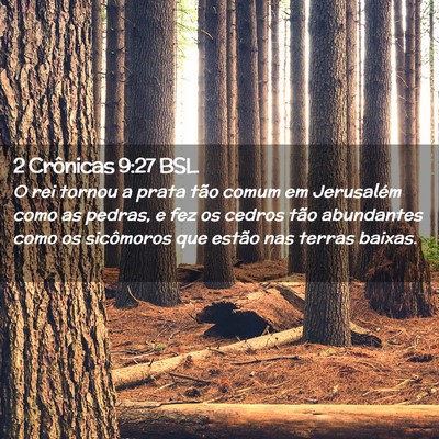 Picture 02 - 2 Crônicas 9:27 BSL - O rei tornou a prata tão comum em Jerusalém - Bible Verse Picture