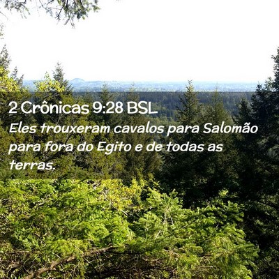 Picture 02 - 2 Crônicas 9:28 BSL - Eles trouxeram cavalos para Salomão para fora do - Bible Verse Picture