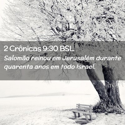 Picture 02 - 2 Crônicas 9:30 BSL - Salomão reinou em Jerusalém durante quarenta - Bible Verse Picture