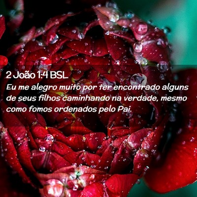 Picture 02 - 2 João 1:4 BSL - Eu me alegro muito por ter encontrado alguns de - Bible Verse Picture