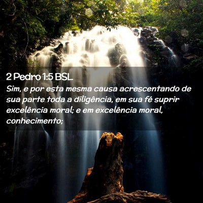 Picture 02 - 2 Pedro 1:5 BSL - Sim, e por esta mesma causa acrescentando de sua - Bible Verse Picture